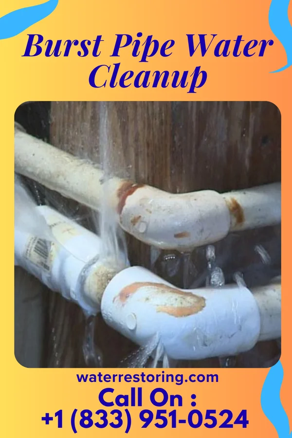 Burst Pipe Water Cleanup in Wann, OK