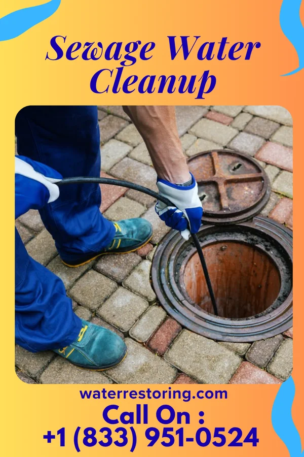 Sewage Water Cleanup in Wann, OK